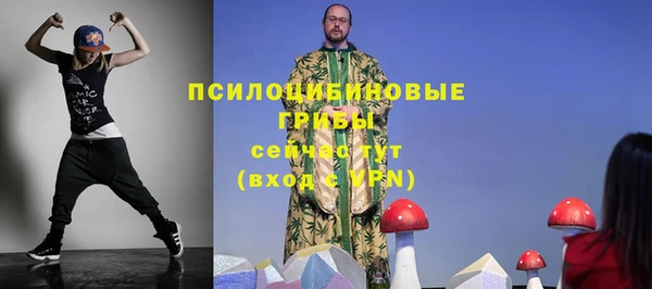 2c-b Алзамай